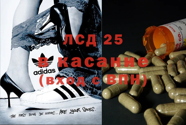 СК Алексин
